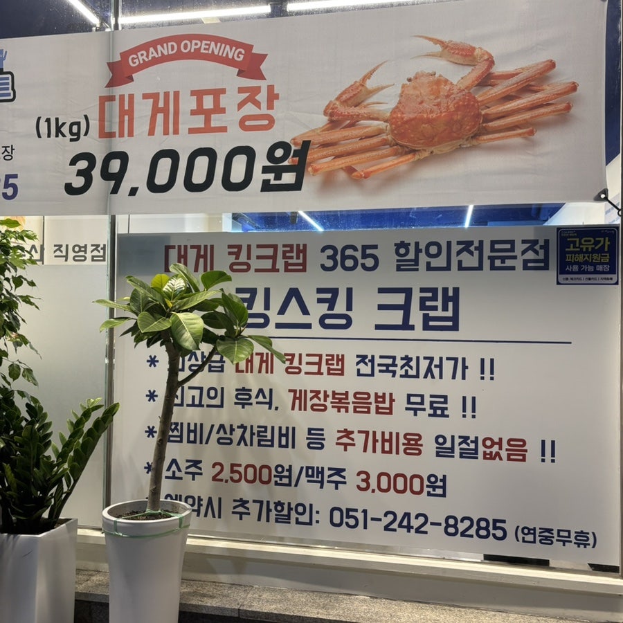 킹스킹크랩 사진 3