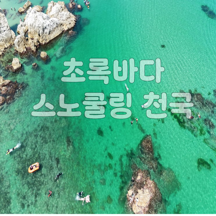  해외인가요? NO 국내입니다~스노쿨링천국 스팟 공개!!!