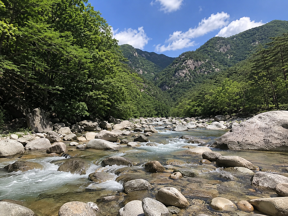 산골유원지 사진 5