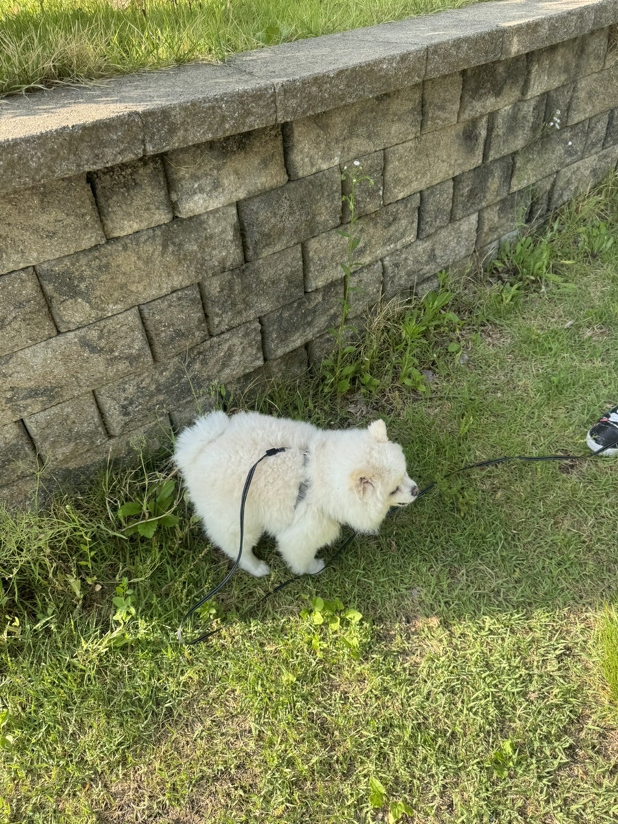 가평 레일바이크 사진 4