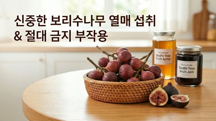  보리수 먹는 방법 이런 분은 절대 먹지 마세요