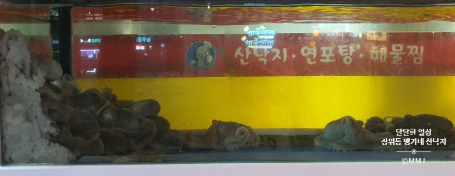 맹가네 사진 3