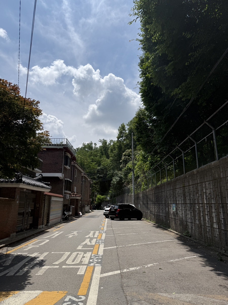 숲속도토리마을 사진 6