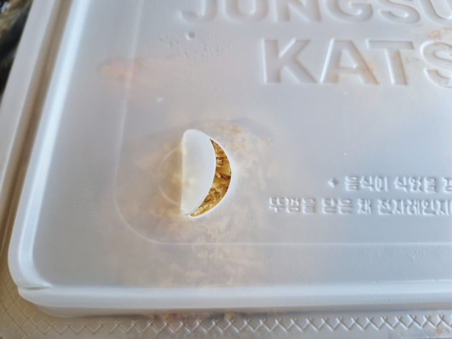 정성카츠 중구점 사진 6