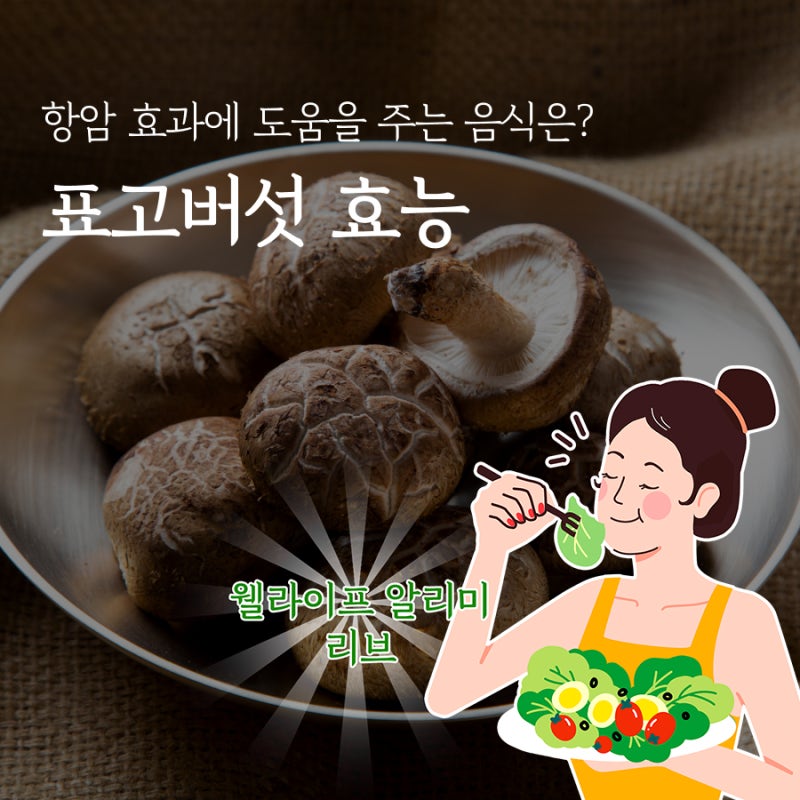 표고버섯 효능 총정리 면역력, 피로회복, 다이어트에 좋은 이유