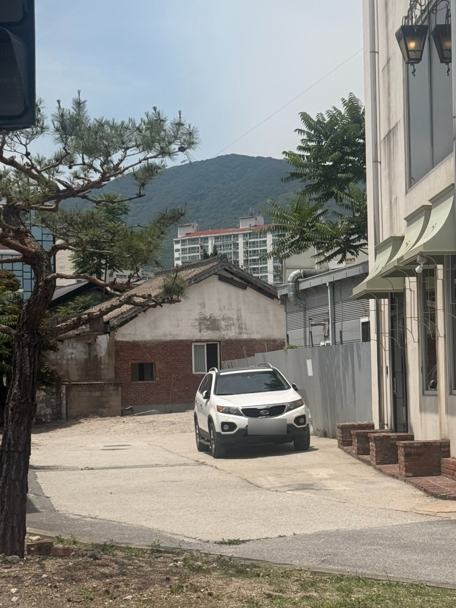 비브레 사진 3
