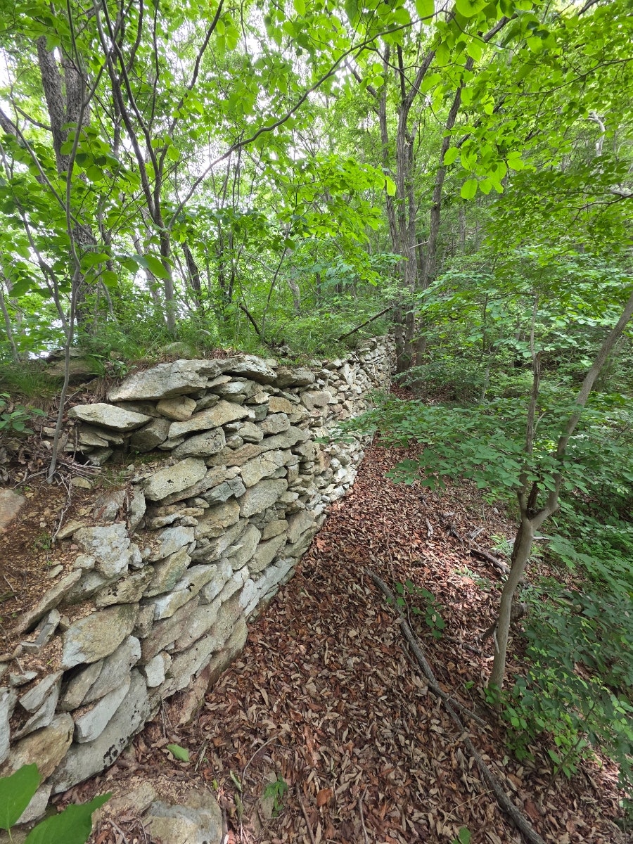 수인산 사진 5