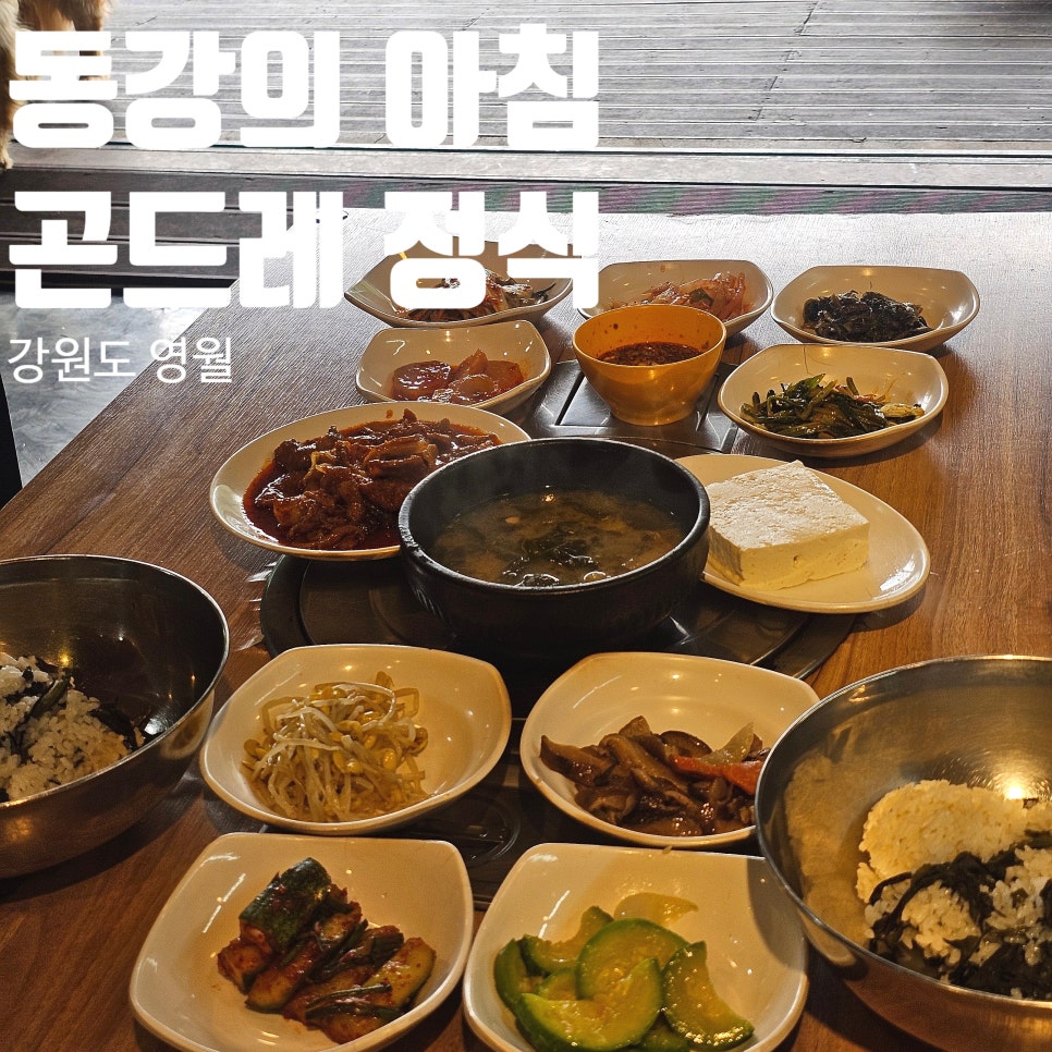 동강의아침 사진 1