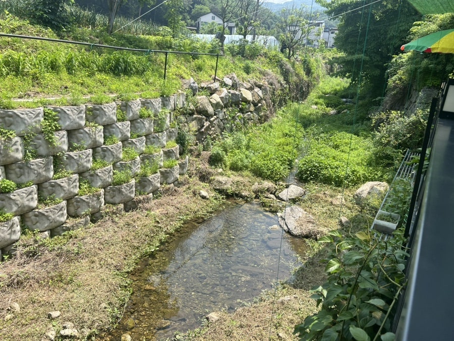다닐목 사진 4