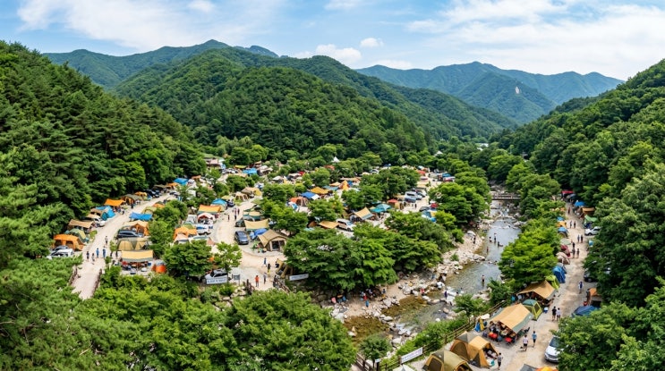  2026년 덕유산 덕유대야영장 완벽 가이드 | 7~8월 계곡 명당 사이트 선점 꿀팁부터 국립공원 예약법까지