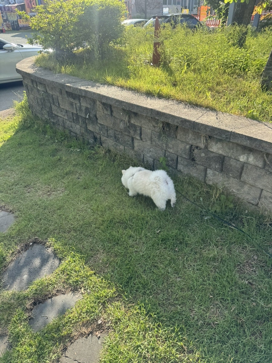 가평 레일바이크 사진 3