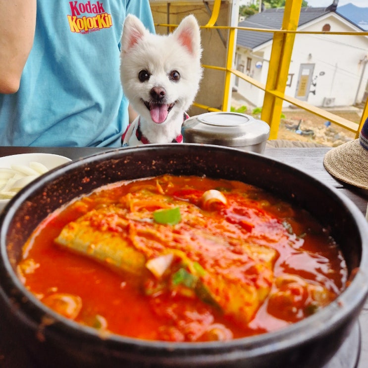  남해 다랭이마을 맛집, 애견동반 가능한 블루리본 다랭이맛집 갈치조림 후기