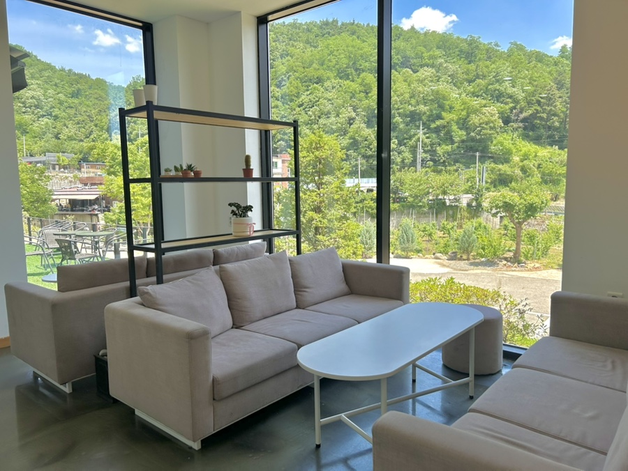 도화지 사진 6