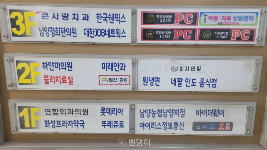원냉면 사진 4