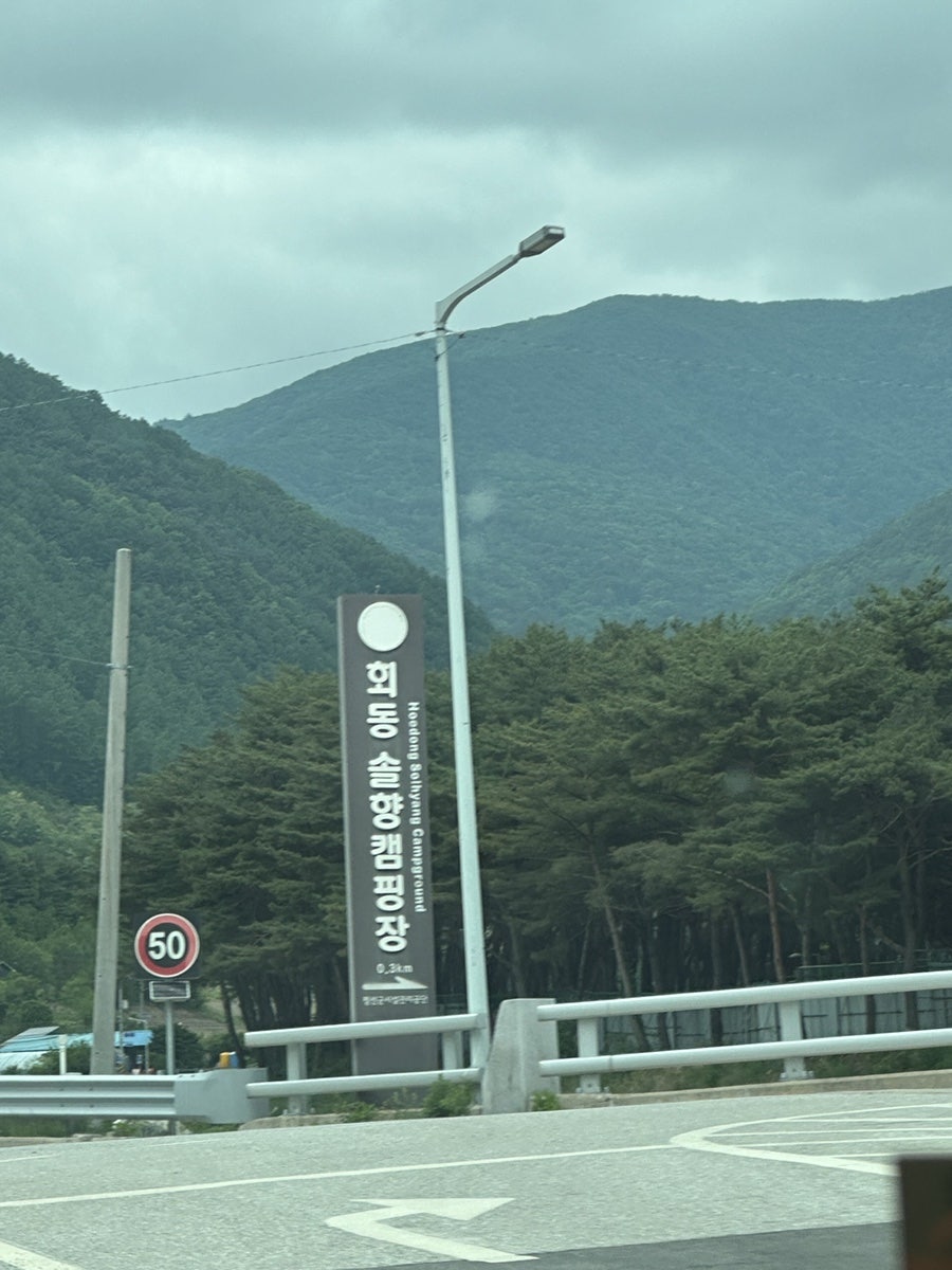 회동솔향캠핑장 사진 1