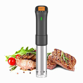  INKBIRD ISV-200W 와이파이 스테인리스 침수 순환기 - 정밀 온도 제어 수비드 기능 분석