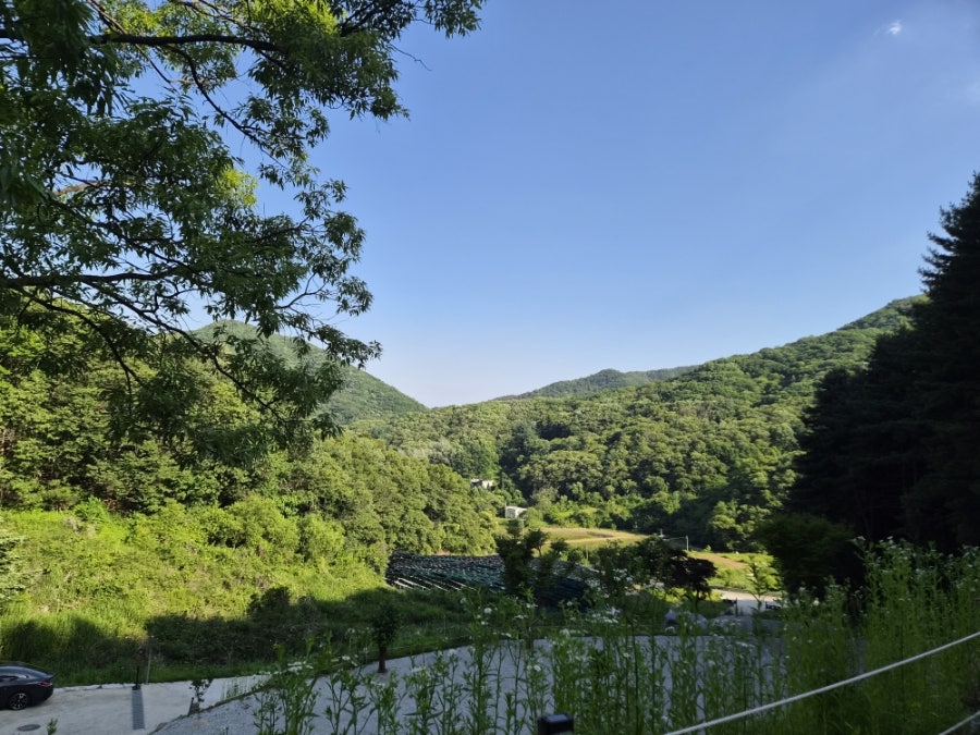구릉지캠핑장