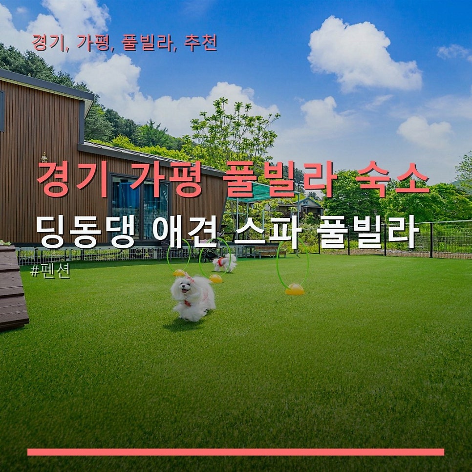 시크릿문펜션 사진 3