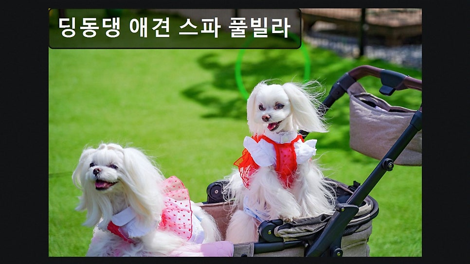 시크릿문펜션 사진 6