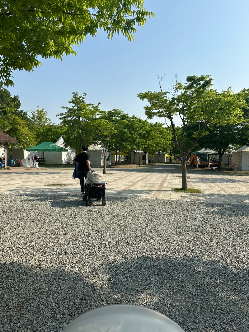 인천대공원 캠핑장 너나들이 C21구역 몽골텐트 글램핑 후기 — 장비 없어도 이렇게 완벽할 수....