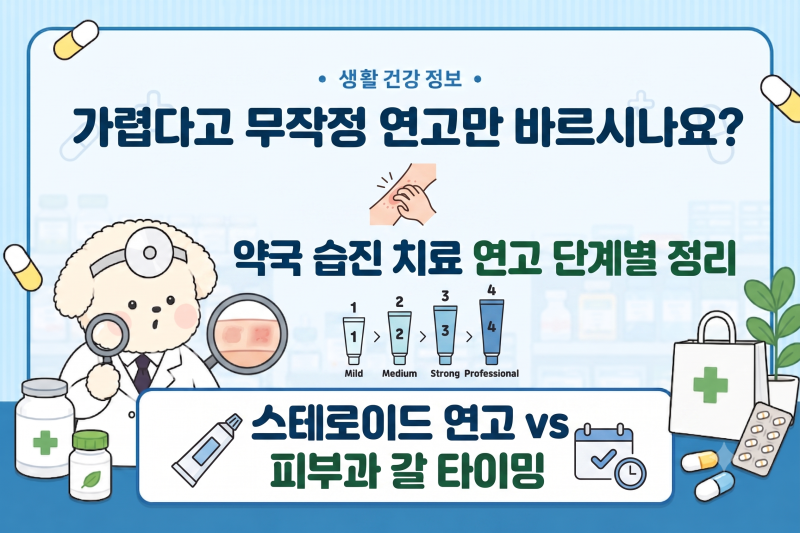 약국 습진 연고 바르는 순서: 초기 보습부터 피부과 가야 할 타이밍 정리