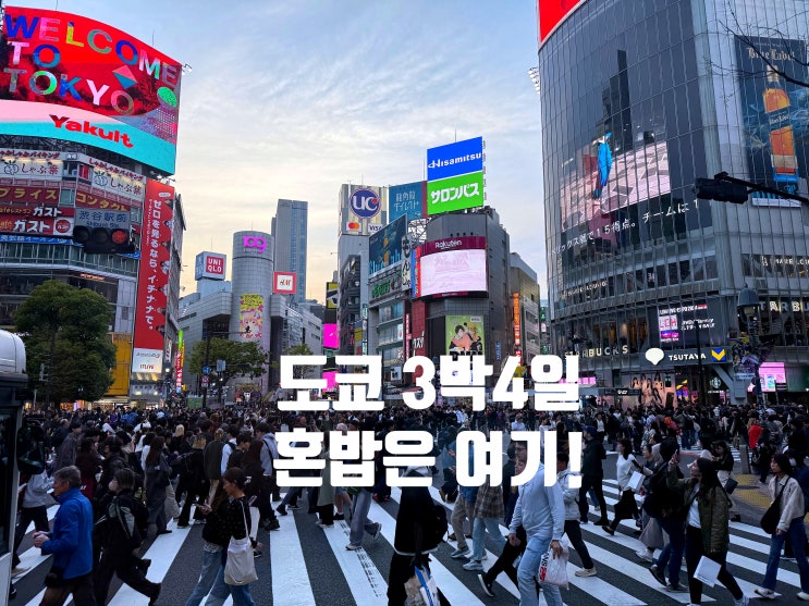 도쿄여행 3박 4일 혼밥 리스트｜실제로 가기 좋았던 점심과 저녁