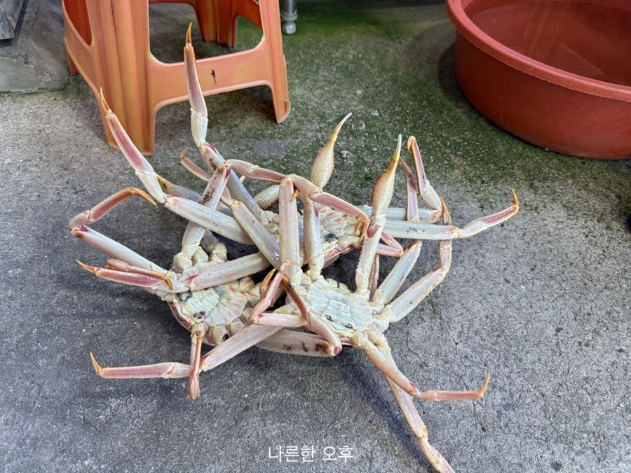 동해일출 직판장 사진 2