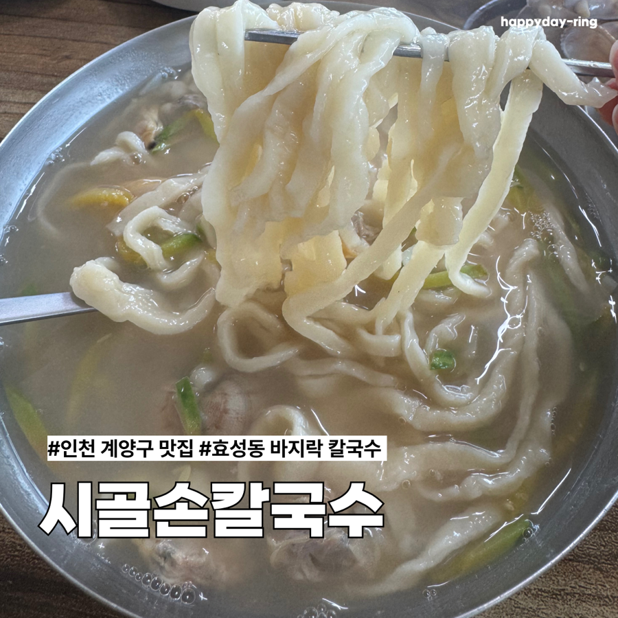 시골손칼국수 사진 1