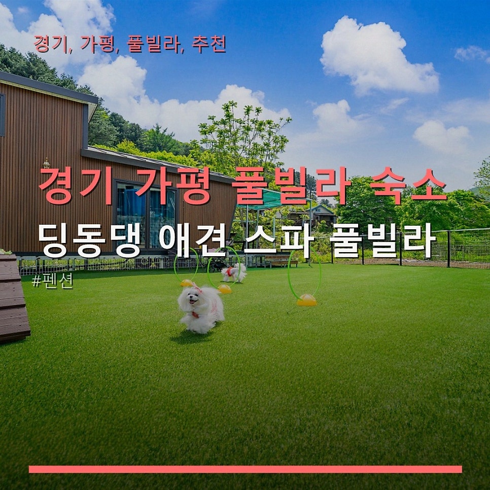 시크릿문펜션 사진 1