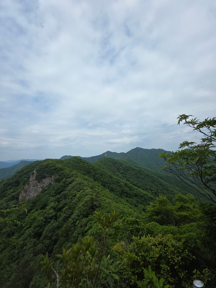 수인산 사진 4