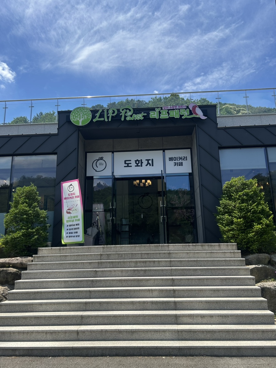 도화지 사진 2