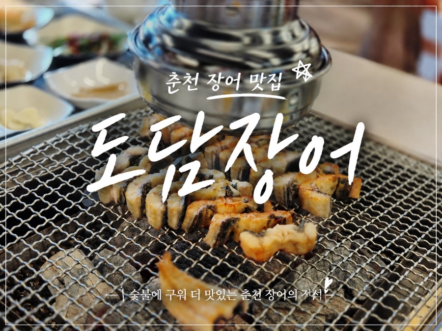 도담장어 사진 1