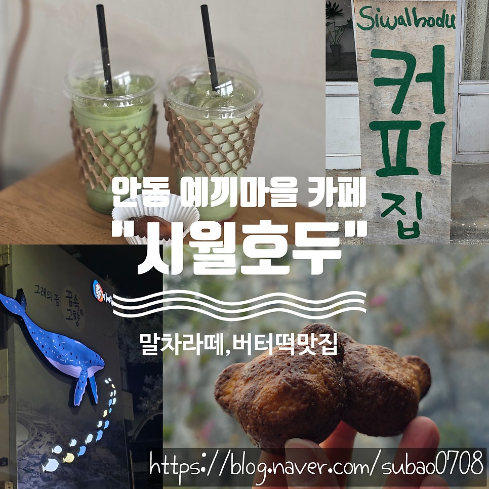 시월호두 사진 2
