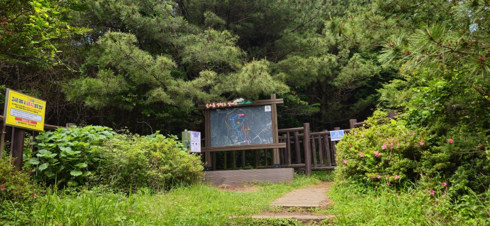 미악산 사진 1