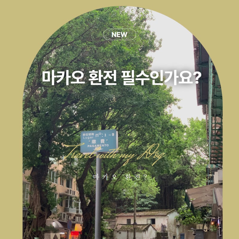 마카오 환전? 트래블로그, 트래블카드로만 해도 충분해요!