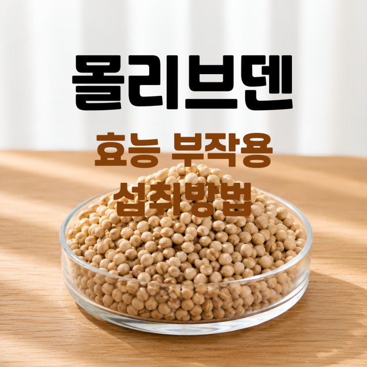  몰리브덴 효능 부작용 섭취방법 총정리