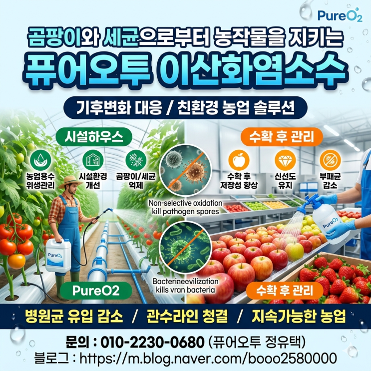  곰팡이와 세균으로부터 농작물을 지키는 퓨어오투 이산화염소수최근 기후변화로 인해 고온다습한 환경이 지속되면서 농작물에 발생하는 곰팡이성 병해와 세균성 병해가 증가하고 있습니다.