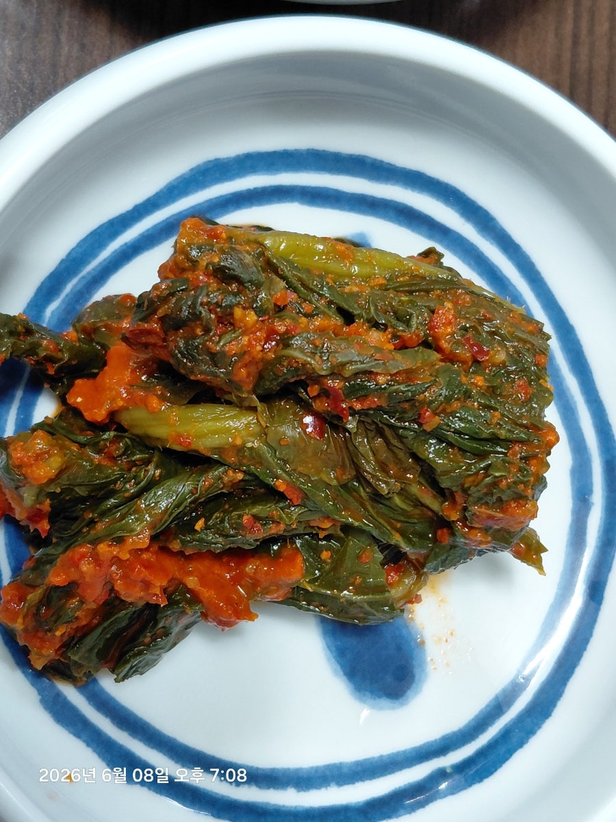 여수해물낙지 사진 3