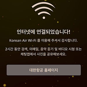 대한항공 기내 와이파이 구매 & 사용 후기 가격,속도 포스팅꿀팁 내돈내산