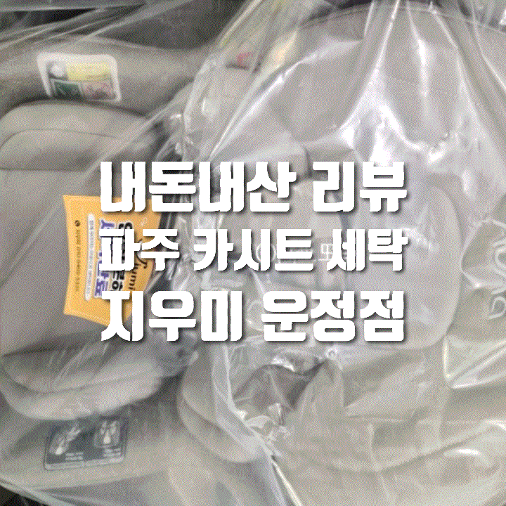 [내돈내산] 파주 카시트, 유모차 세탁 업체 추천 '지우미'