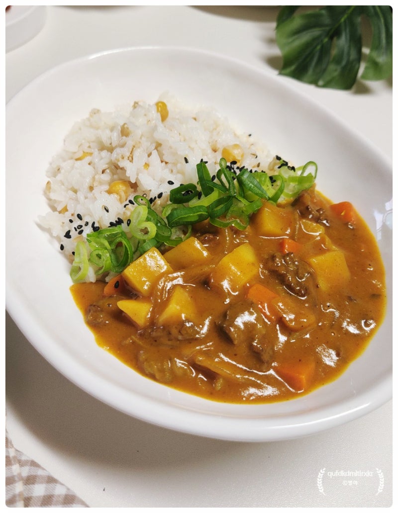 소고기카레 맛있게 만드는법 | 바몬드카레 레시피 재료 소고기 양파카레 만들기