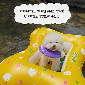 강아지구명조끼 추천 위니즈 젤리빈 펫 베리도트 구명조끼 솔직후기