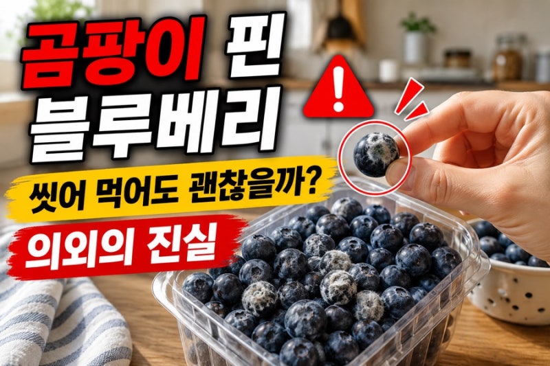 곰팡이 핀 블루베리, 물에 씻는다고 해결되지 않습니다