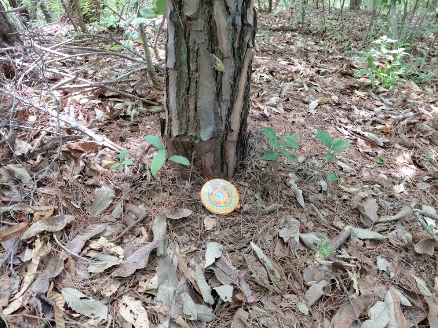 건지산 사진 6