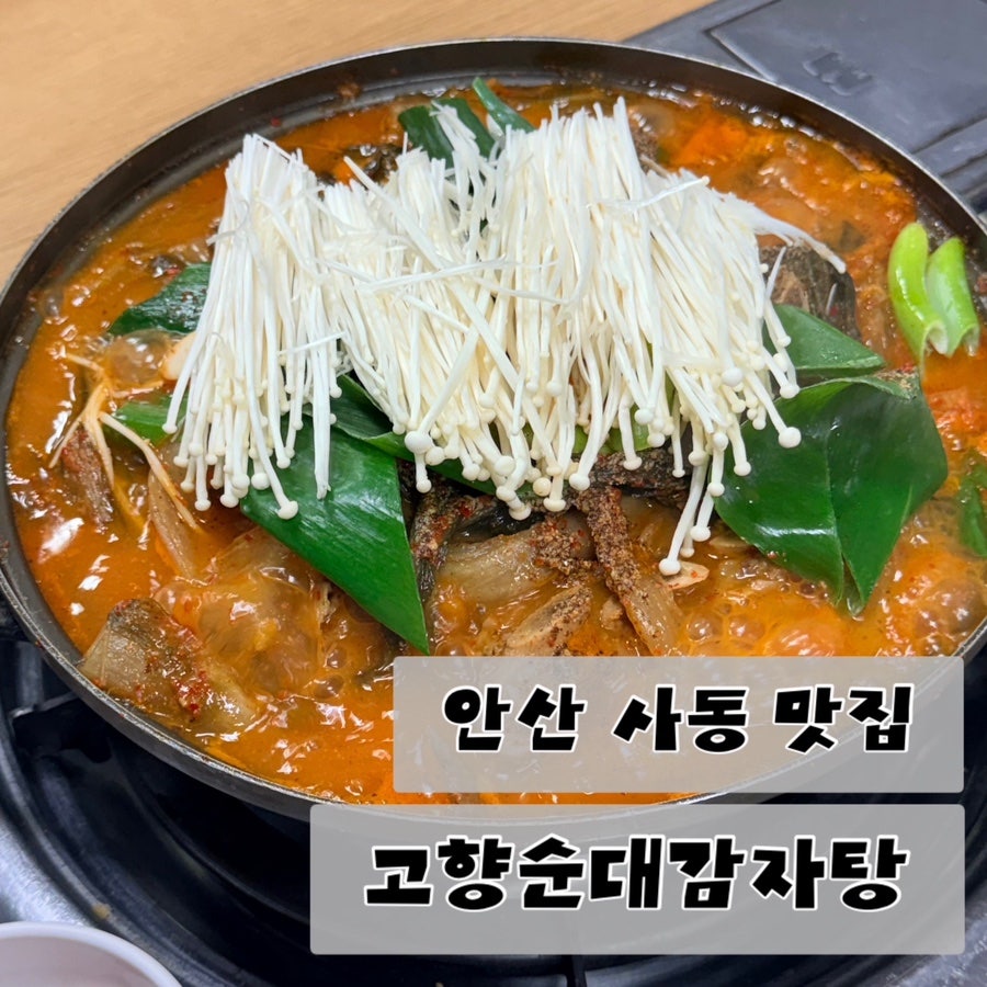 고향순대감자탕 사진 1