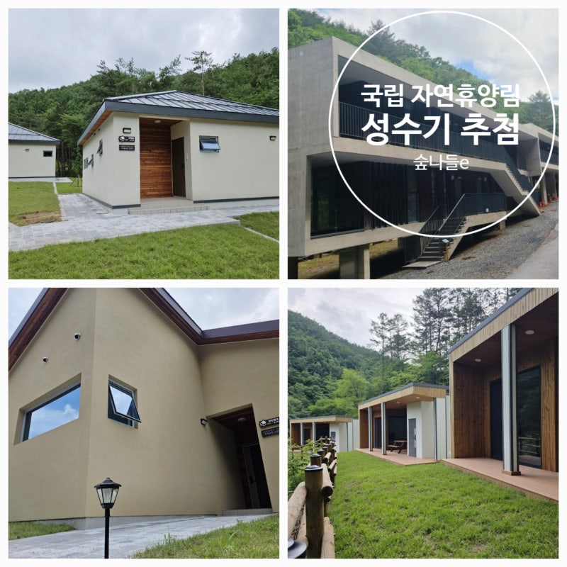 여름 휴가 국립 자연휴양림 예약 - 성수기 추첨, 신상 숙소는?