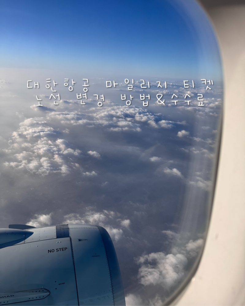 대한항공 마일리지 항공권 노선 변경 직접 해본 후기ㆍ수수료 총정리