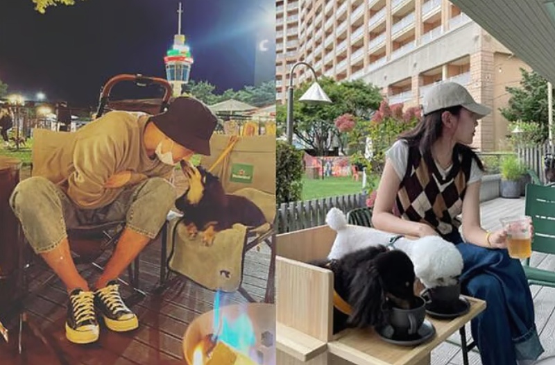 "결혼 날짜 묻자 정색하더니…" 정경호♥︎최수영 14년 연애 후 결별, 반려견 호영이 근황은?