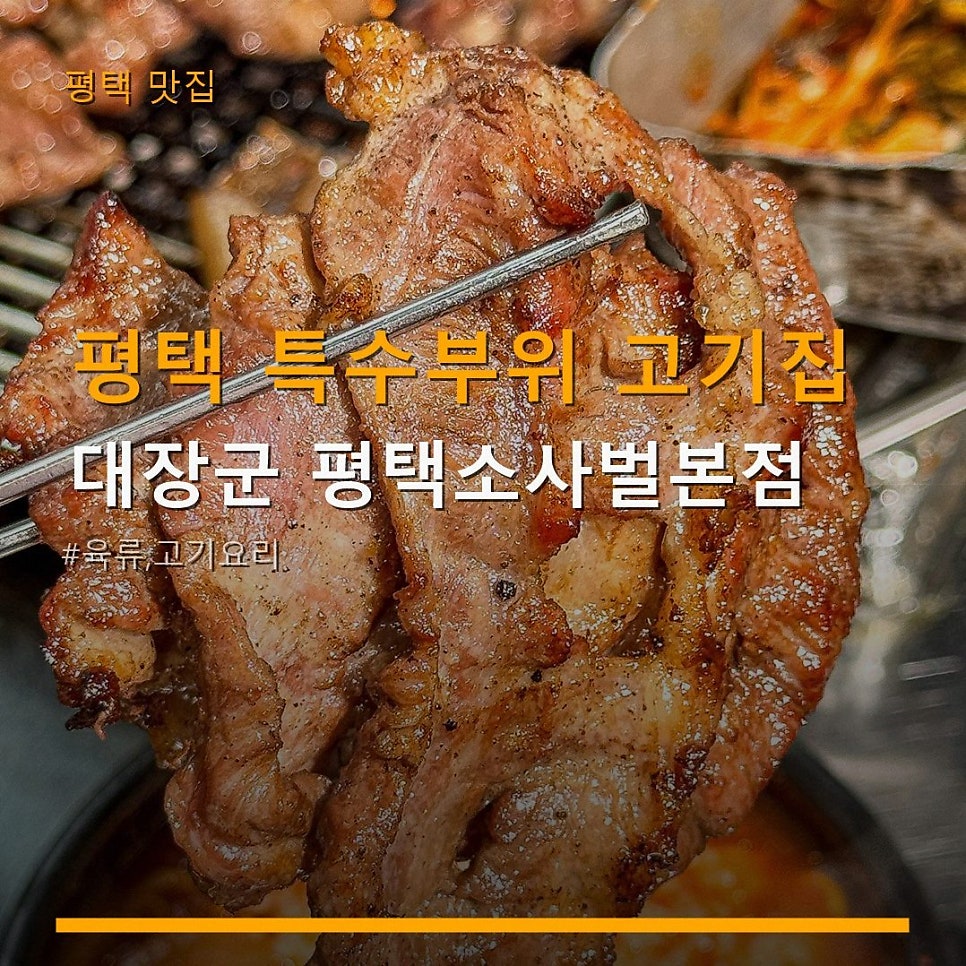 대장군 사진 1