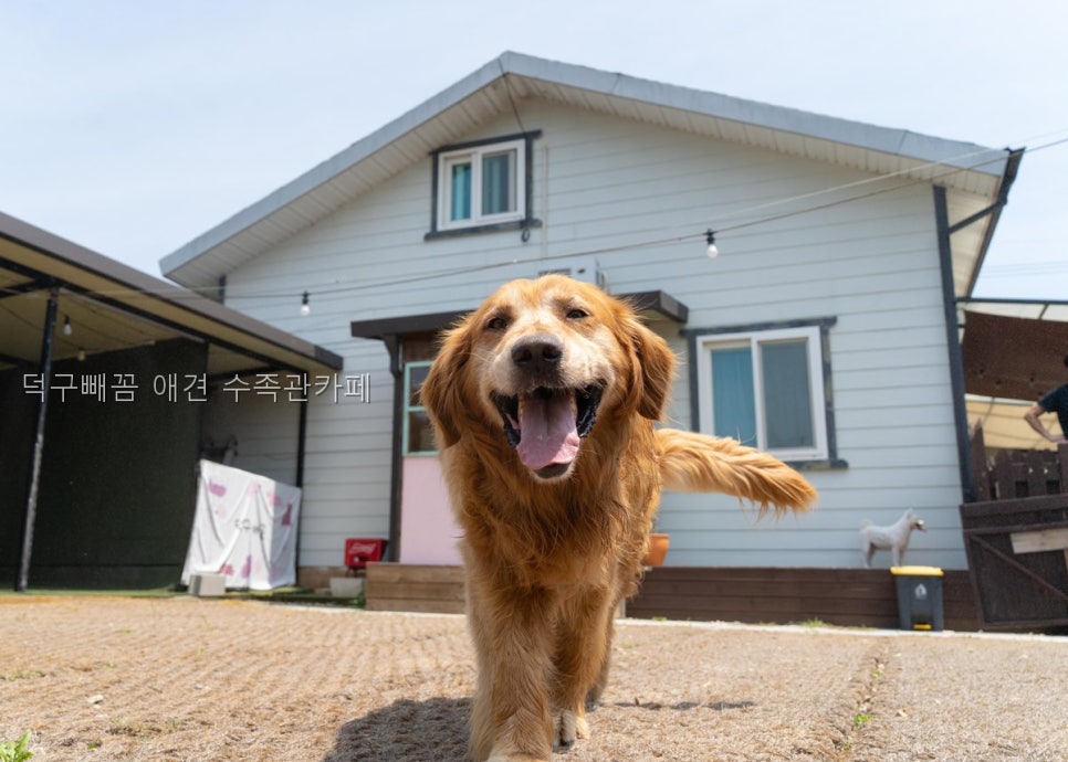 덕구빼꼼 사진 1